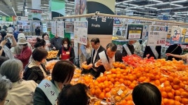 제주에서 또 왔수다…제주산 과일 수도권 할인 행사