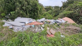 고사리는 꺾고 재활용품은 제대로 배출