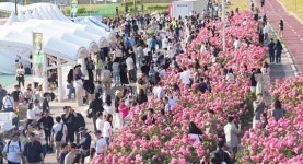 서울 중랑장미공원에서 열린 장미축제, 비 속에서도 아름다움을 즐기다