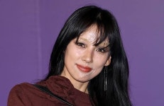 이효리, 상업 광고 수익으로 논란
