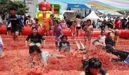 광주 퇴촌면, 토마토 축제로 지역 주민과 방문객을 초대