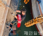 서귀포 항구서 행인 잇따라 바다로 추락