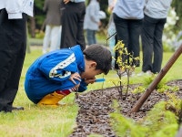 행정사법인산림인제주분사무소 | "기업이 함께 숲 만들기"…제주 생활 속 녹지공간 '자리매김'