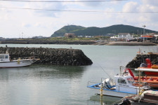 우도에서 사계리로 옹기를 실으러 가다 실종