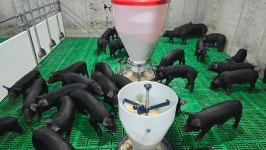 과감한 재건축 승부수…전국 최고의 청정 농장 우뚝