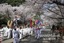 영암군, 벚꽃과 함께 왕인박사 돌아왔다