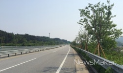 익산시, 녹색도시 조성 가로수 조성사업 완료