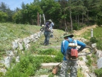 영암군, 기찬묏길 일제 정비 쾌적한 힐링 산책길 제공