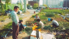 광주 북구 삼각동, 주민이 일군 바람개비 텃밭 마을 보물로 거듭나