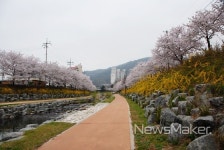 순천시, 제5회 삼산동 용당 뚝방길 벚꽃축제 개막