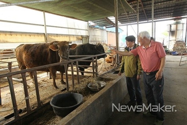 이정곤 고성 부군수, 희소가축 칡소 사육 농가 방문 격려 | 포토뉴스