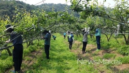 군산시 나포면, 농촌일손돕기 팔걷어