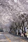 군산시, 도심 속 여유로운 쉼터 은파호수공원 오세요