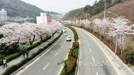 전남도, 산림청 녹색도시 공모 10년 연속 선정 쾌거