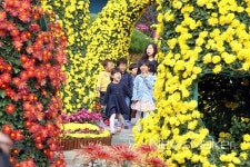 광주 북구, 가을 향기 가득한 국화정원으로 놀러오세요