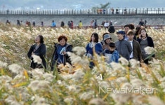 강진군, 남포마을 강진만 생태탐방로 관광객 가을만끽