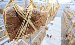산청군 차황면, 지리산이 만들어 내는 산청 메주