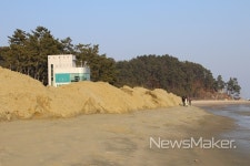 보성군, 율포솔밭해변 모래 포설 한창