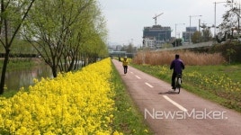 광주광역시, 자전거도로 정비한다