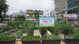 전주시 20개 초등학교에 학교 텃밭 조성