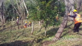 장흥 예양공원, 힐링 숲으로 봄맞이 대변신