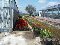 밀양시 농업기술센터 실증시범포장 구경오세요