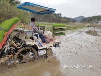남원시, 전북권 첫 모내기 실시