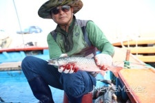 해남군 울돌목 거센물살 가르며 숭어가 돌아왔다