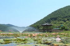 고성군, 상리연꽃공원 연못 분수 설치