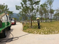 양산시, 가뭄속 황산공원 나무살리기 전쟁 성공적