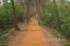 밀양시, 안전하고 쾌적한 일자봉 등산로 정비완료