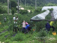 진안군 부귀면, 블루베리농가 일손돕기 나서