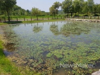 창녕군, 수생식물의 천국 창녕 우포늪 생태체험장