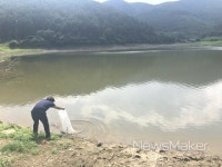 고성 영현면, 잉어·붕어 어린고기 방류