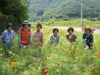 합천군 덕곡면 야생화 공원으로 놀러오세요