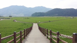 순천시, 순천만갯벌 국내 최초 람사르 습지도시 인증 후보지 선정