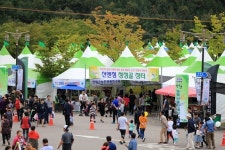 산청한방약초축제, 웰빙 대표축제 반열 올랐다!