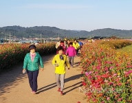 함안 법수면민 건강걷기 행사 개최