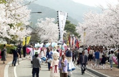 영암군, 2018 영암왕인문화축제 200% 즐기기 꿀팁 대공개