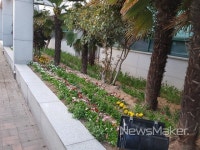 양산시 웅상보건지소, 봄향기 가득한 화단 조성