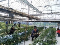 김제시 건축과, 농번기 농촌일손돕기에 구슬땀