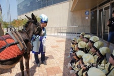 나주 복암리고분전시관, 두힐동물농장 체험 진행