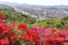 남원시, 꽃으로 물드는 덕음봉 탐방로 조성