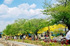 곡성 기차당뚝방마켓 9월 8일 하반기 개장