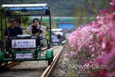 10월에 가볼만한 곳 소설 토지의 무대 하동 평사리