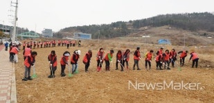 여수시 시전동, 웅천 대규모 유채 꽃밭 조성