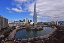 서울 송파구 석촌호수 벚꽃축제 개최