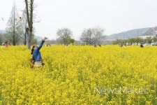 광산구, 유채꽃 배경삼은 마을축제 어룡동 오동제 성료