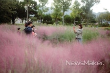 오마이갓 심청 제19회 곡성심청축제로 놀러 오세요!