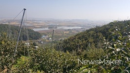 창원 단감 우뚝, 역대 최대규모 국비공모사업 선정